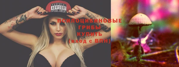 тгк Пересвет